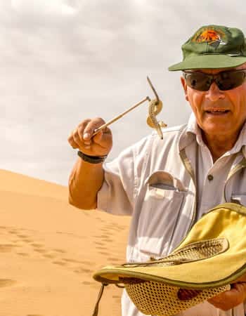 Afbeelding zonder ALT